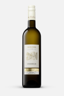 Chasselas