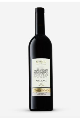 Amazone
